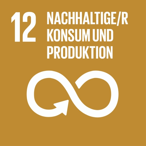 SDG-icon-DE-12